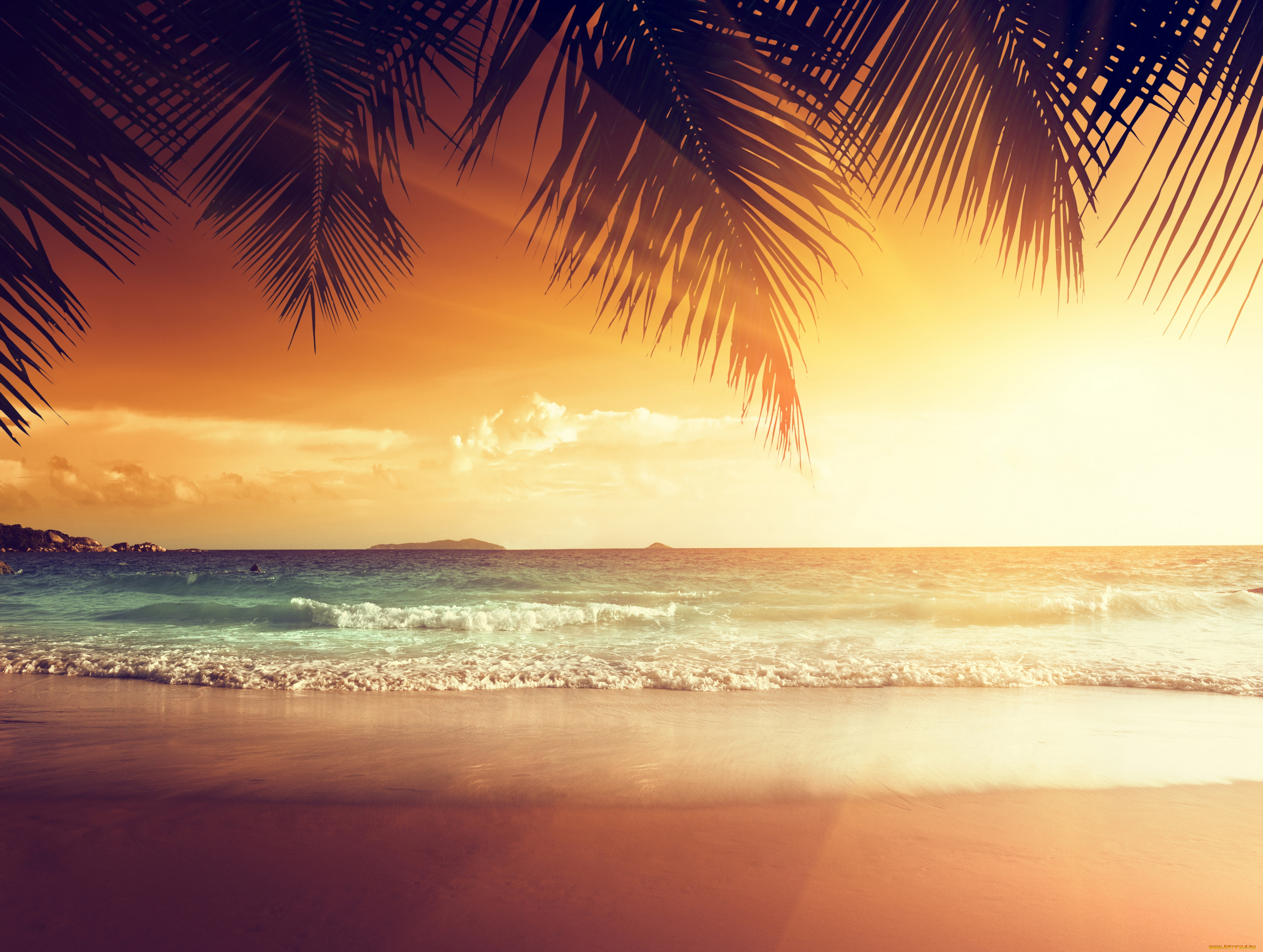 природа, тропики, tropical, sunset, берег, пальмы, закат, море, песок, palm...